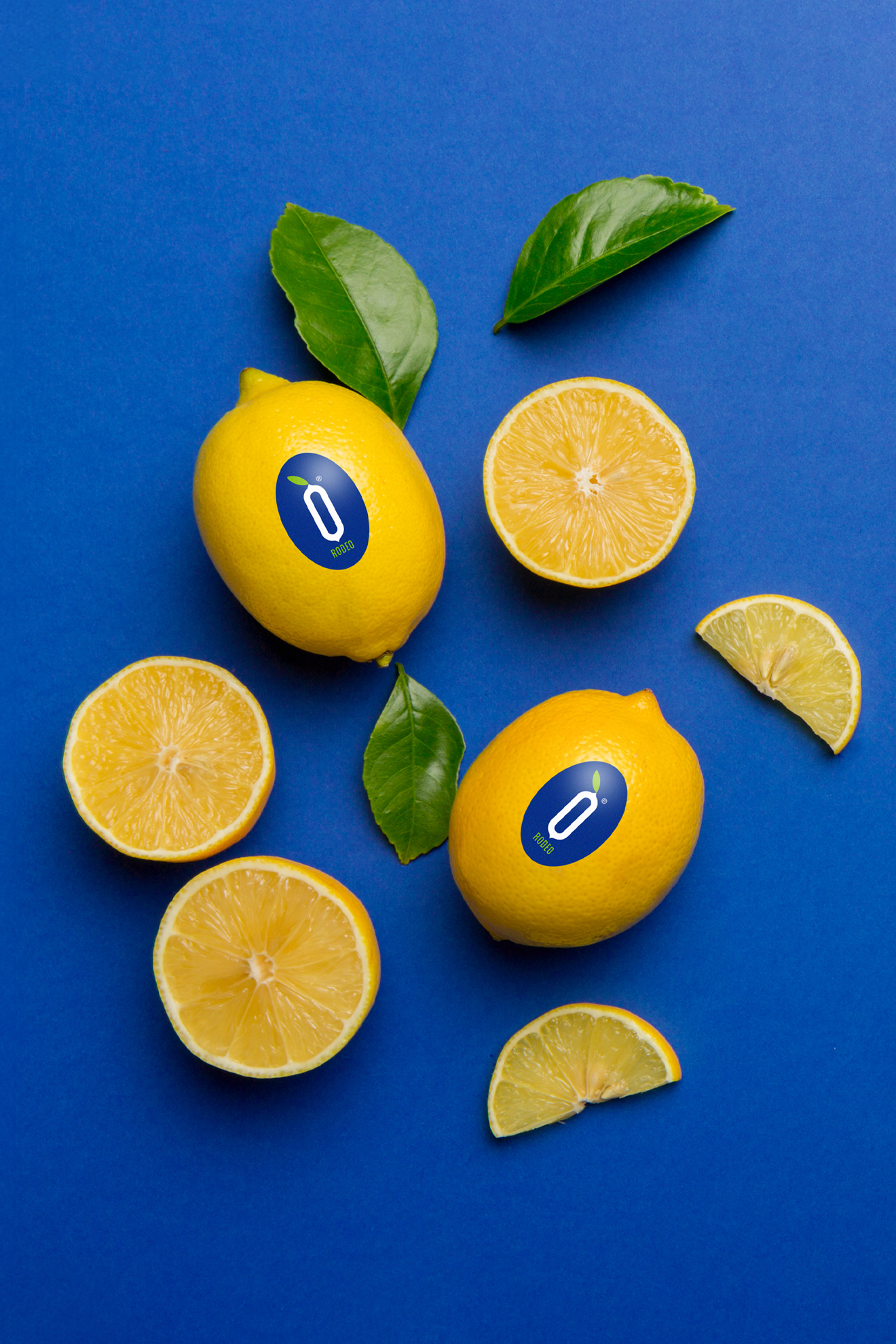 Víctor Folk - Branding Rodeo®